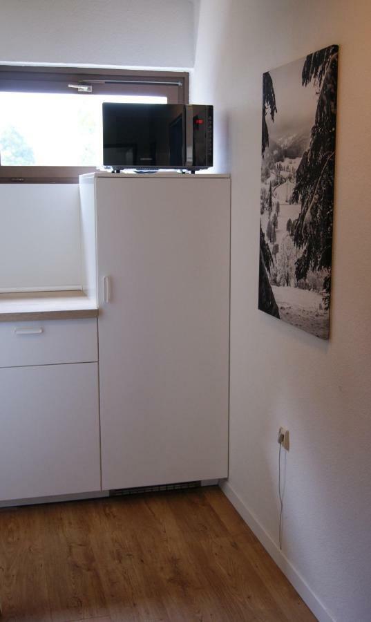 Ferienwohnung Schwarzwaldlust Schluchsee Kültér fotó